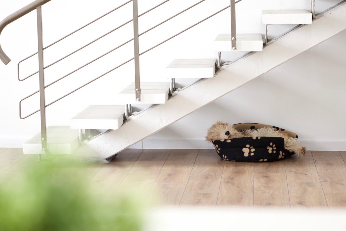 Моня в офисе Джаз Пискелз